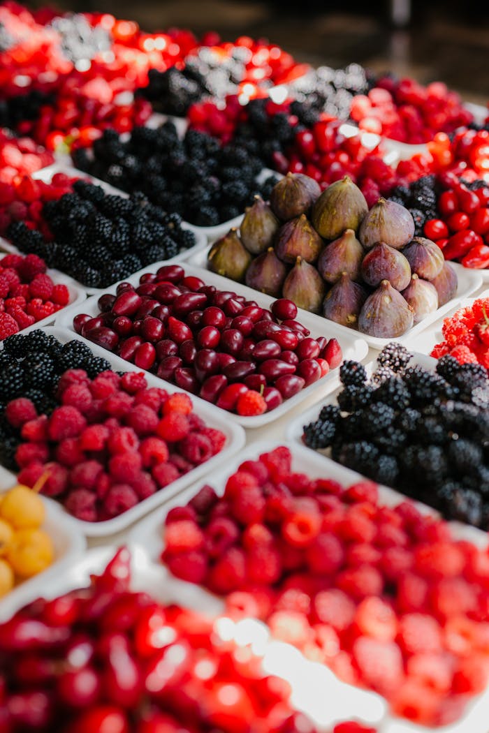 Coaching Ernährung & Mental Health – ganzheitlich Coaching Ernährung & Mental Health – ganzheitlich