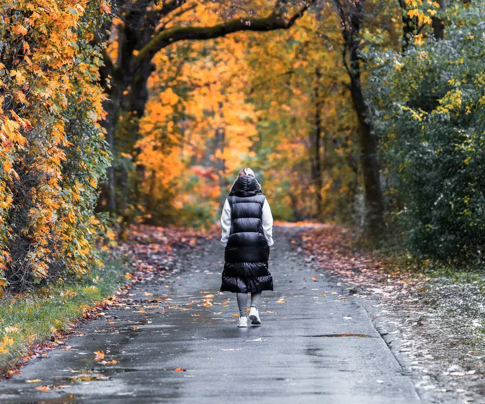 Eine Person geht einen herbstlichen Weg entlang